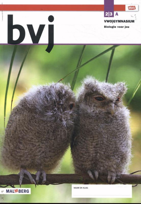 bvj / 2/3 vwo/gymnasium A