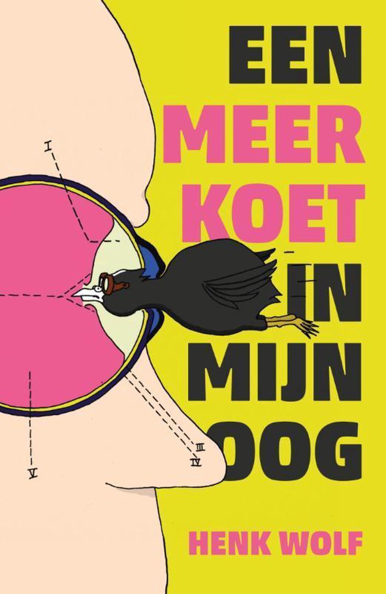 Een meerkoet in mijn oog