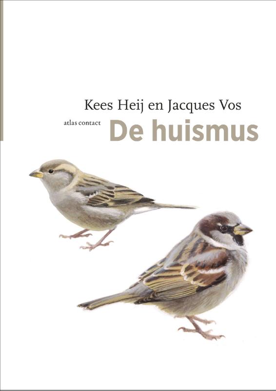 De huismus / De vogelserie / 8