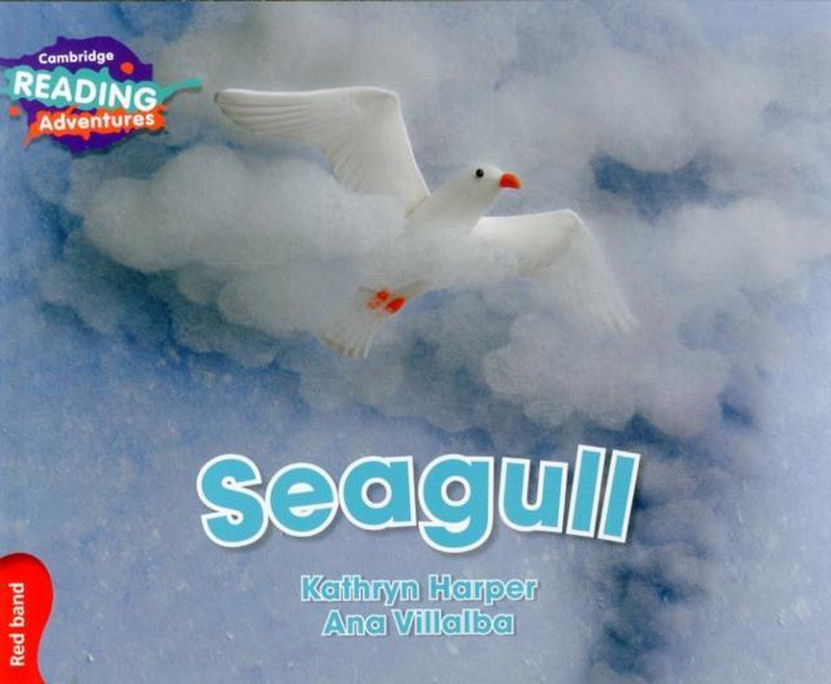 Seagull Red Band