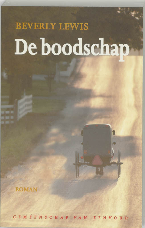 boekenbalie_9789043502351_cover De boodschap / Gemeenschap van eenvoud / 1