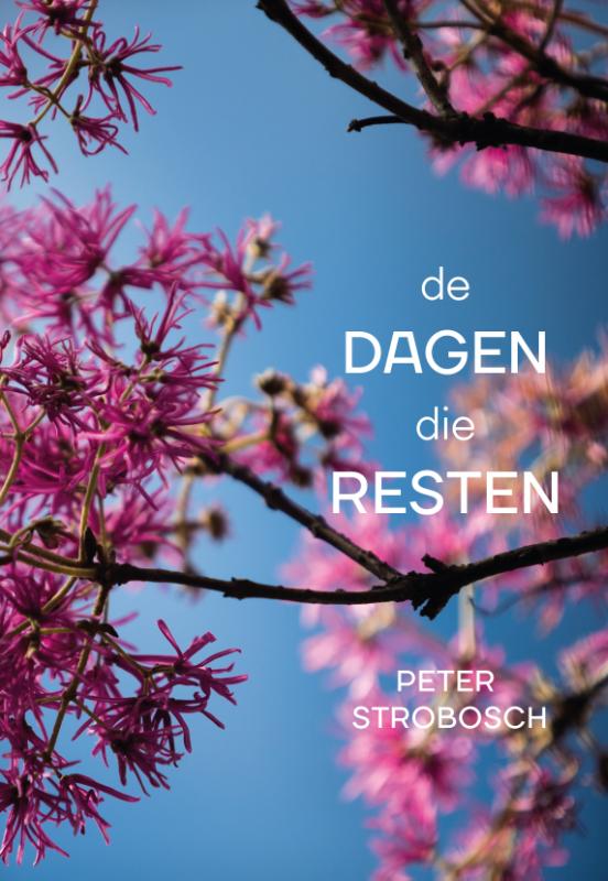 Peter Strobosch De Dagen Die Resten thumbnail