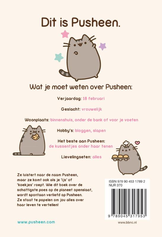 Ik ben Pusheen de poes achterkant