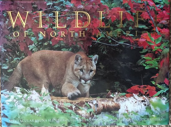 WILDLIFE OF NORTH AMERICA