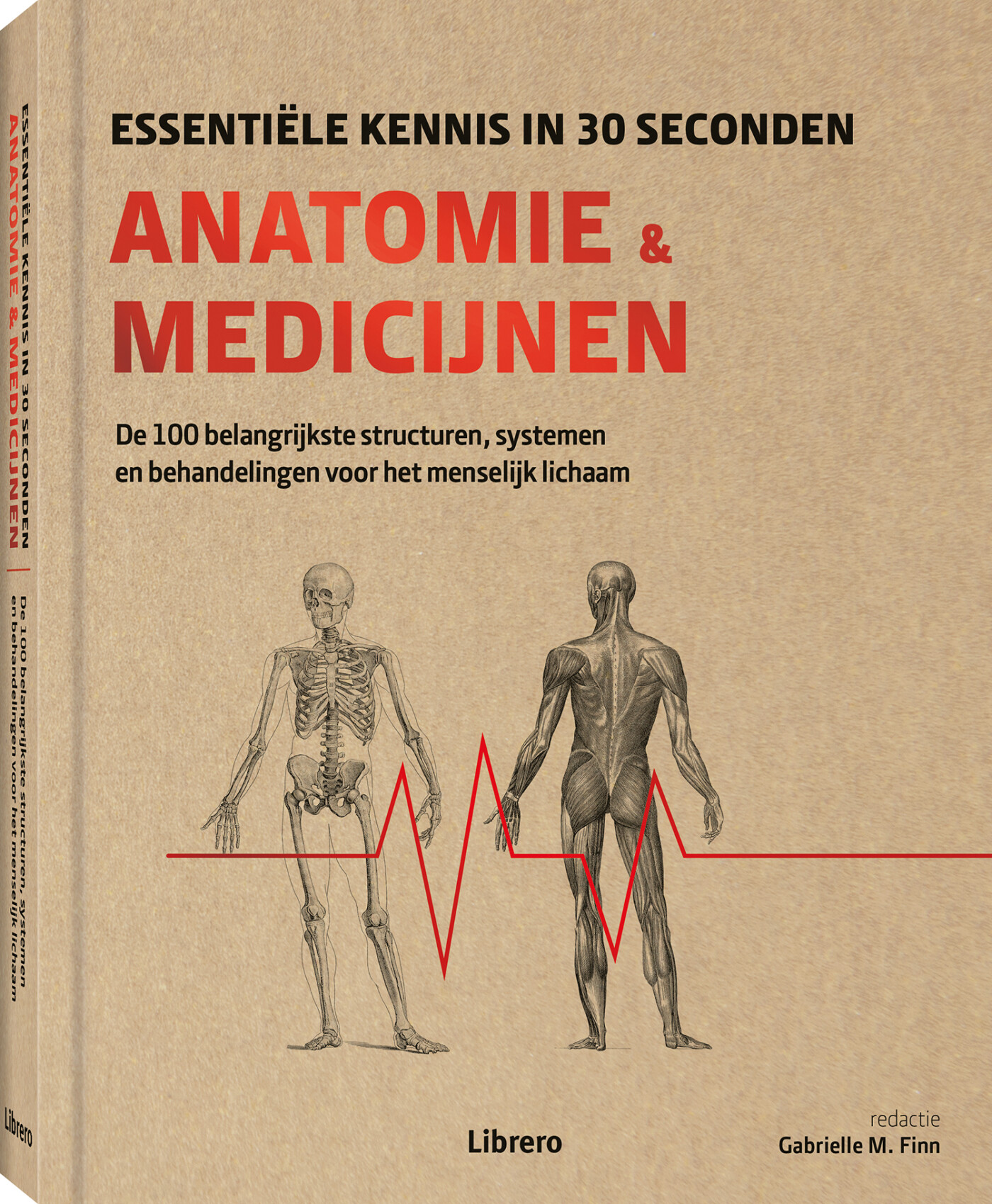 Anatomie & medicijnen / Essentiële kennis in 30 seconden