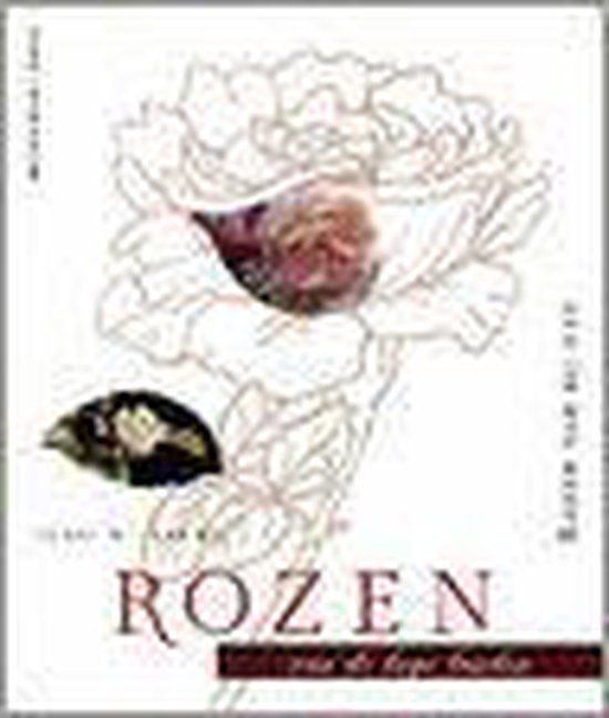 ROZEN VAN DE LAGE LANDEN