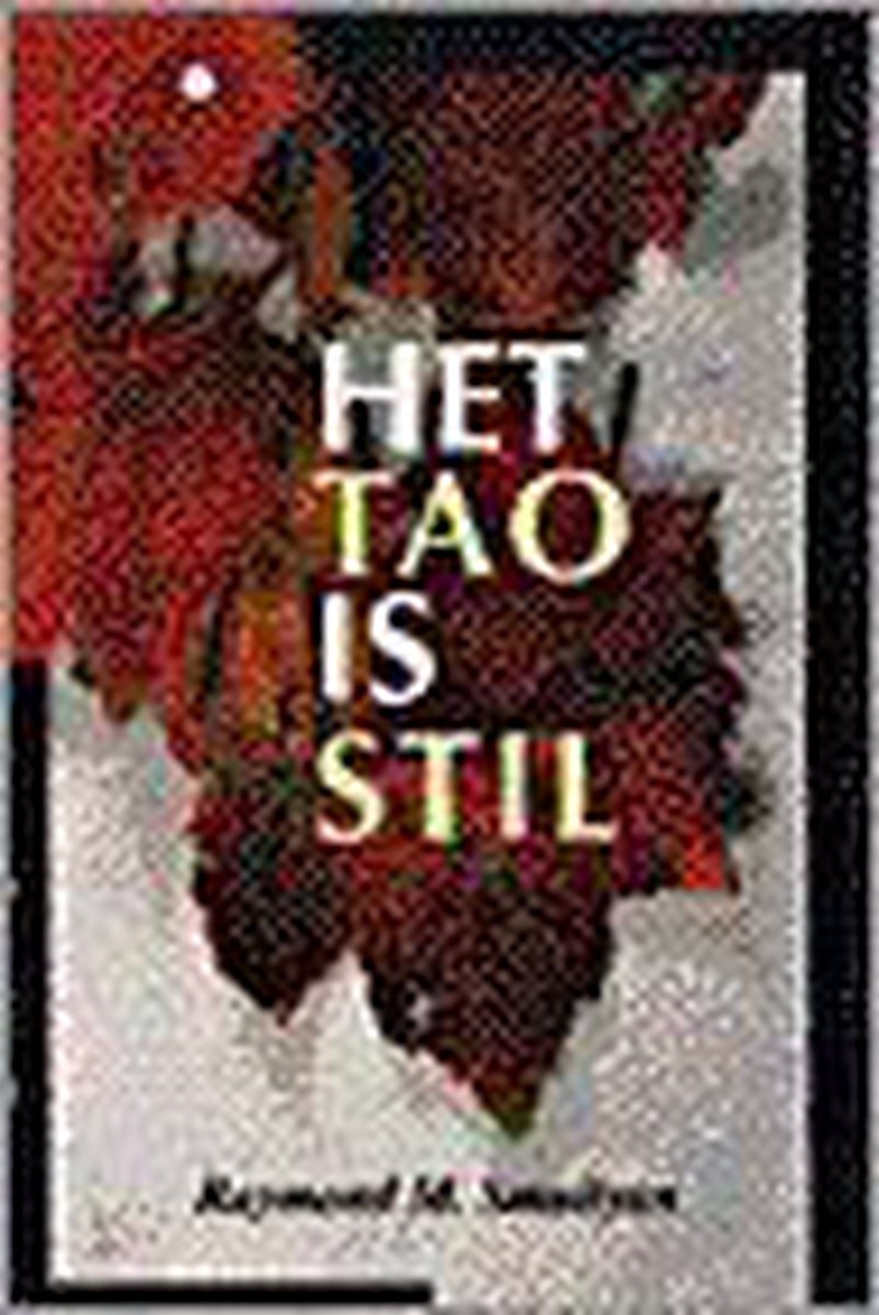 boekenbalie_9789062718443_cover Tao Is Stil, Het