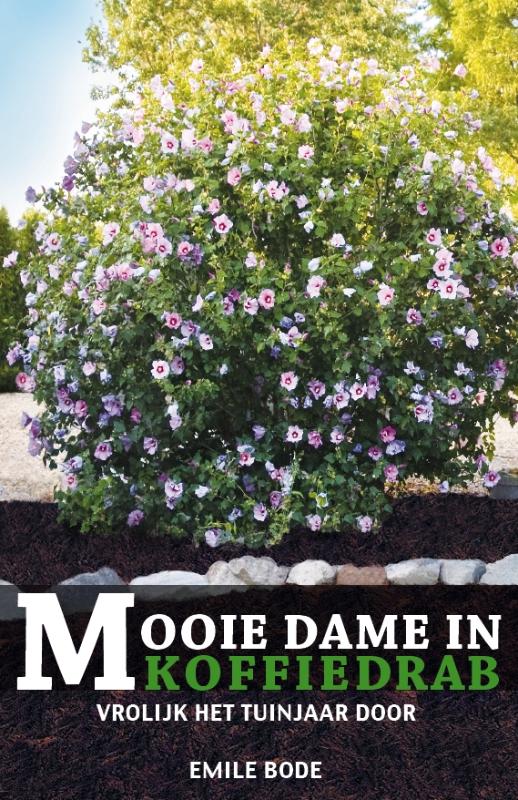 boekenbalie_9789085109075_cover Mooie Dame in Koffiedrab