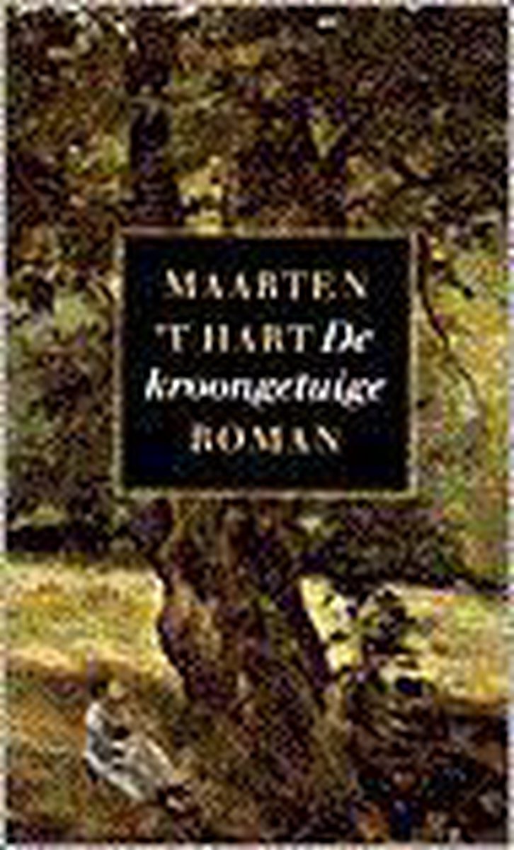 Maarten 't Hart De Kroongetuige thumbnail