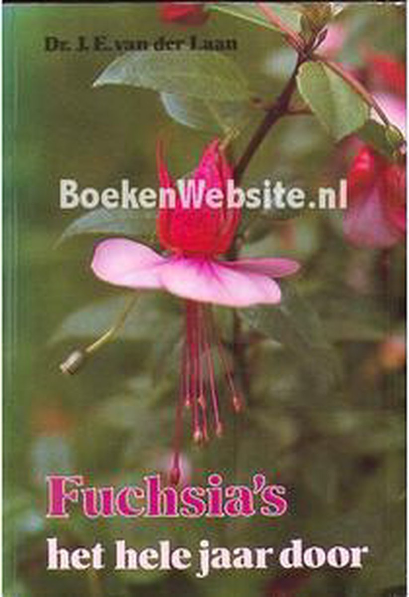 Laan Fuchsia's Het Hele Jaar Door thumbnail