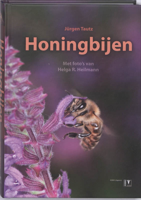 Honingbijen