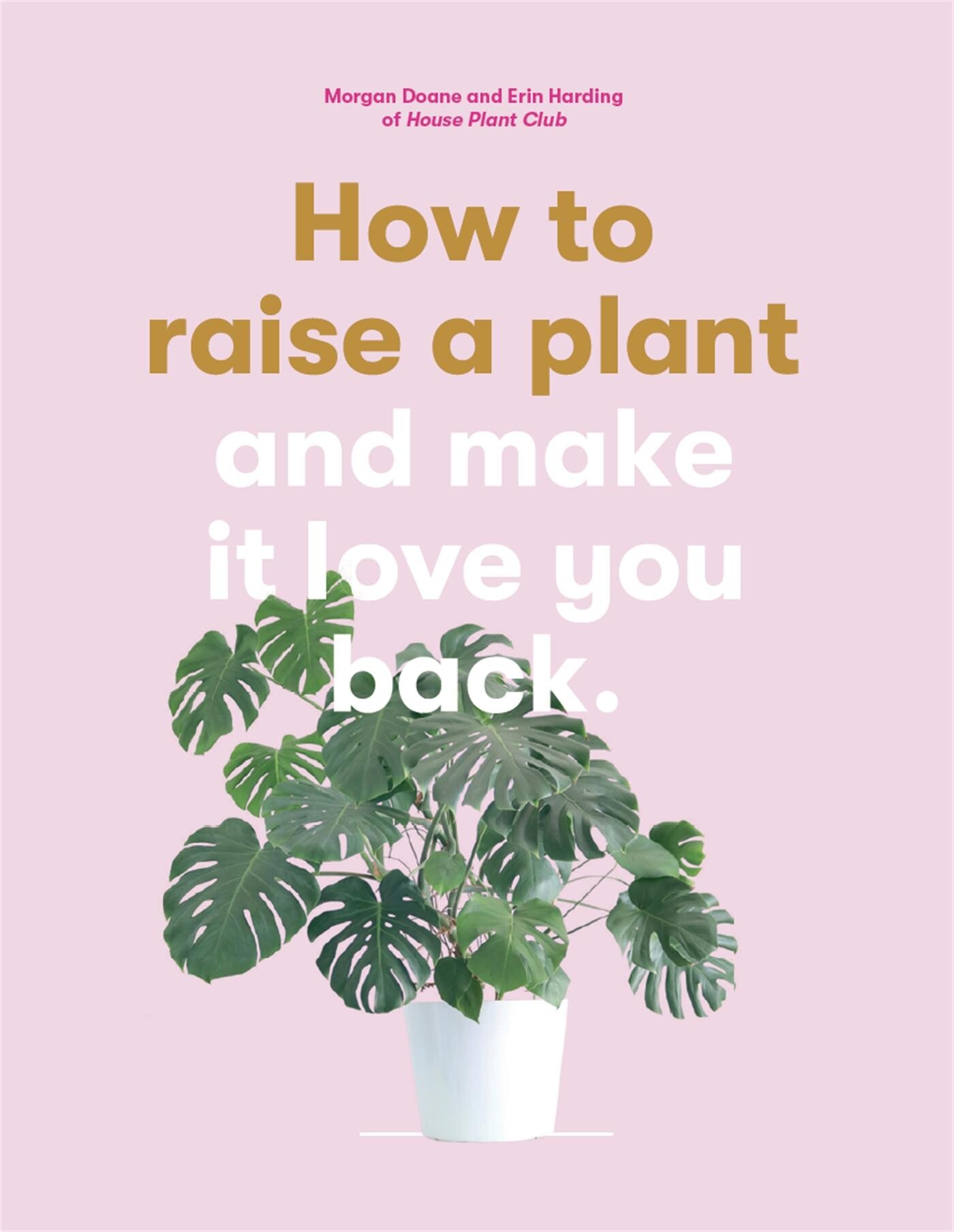 How to raise a plant and make it love you back