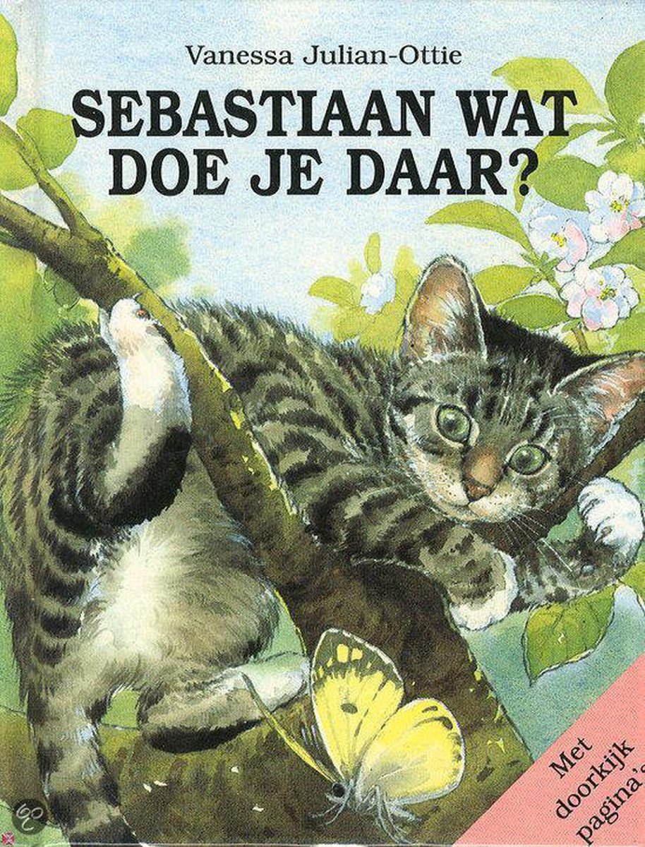 boekenbalie_9789053413616_cover Sebastiaan Wat Doe Je Daar