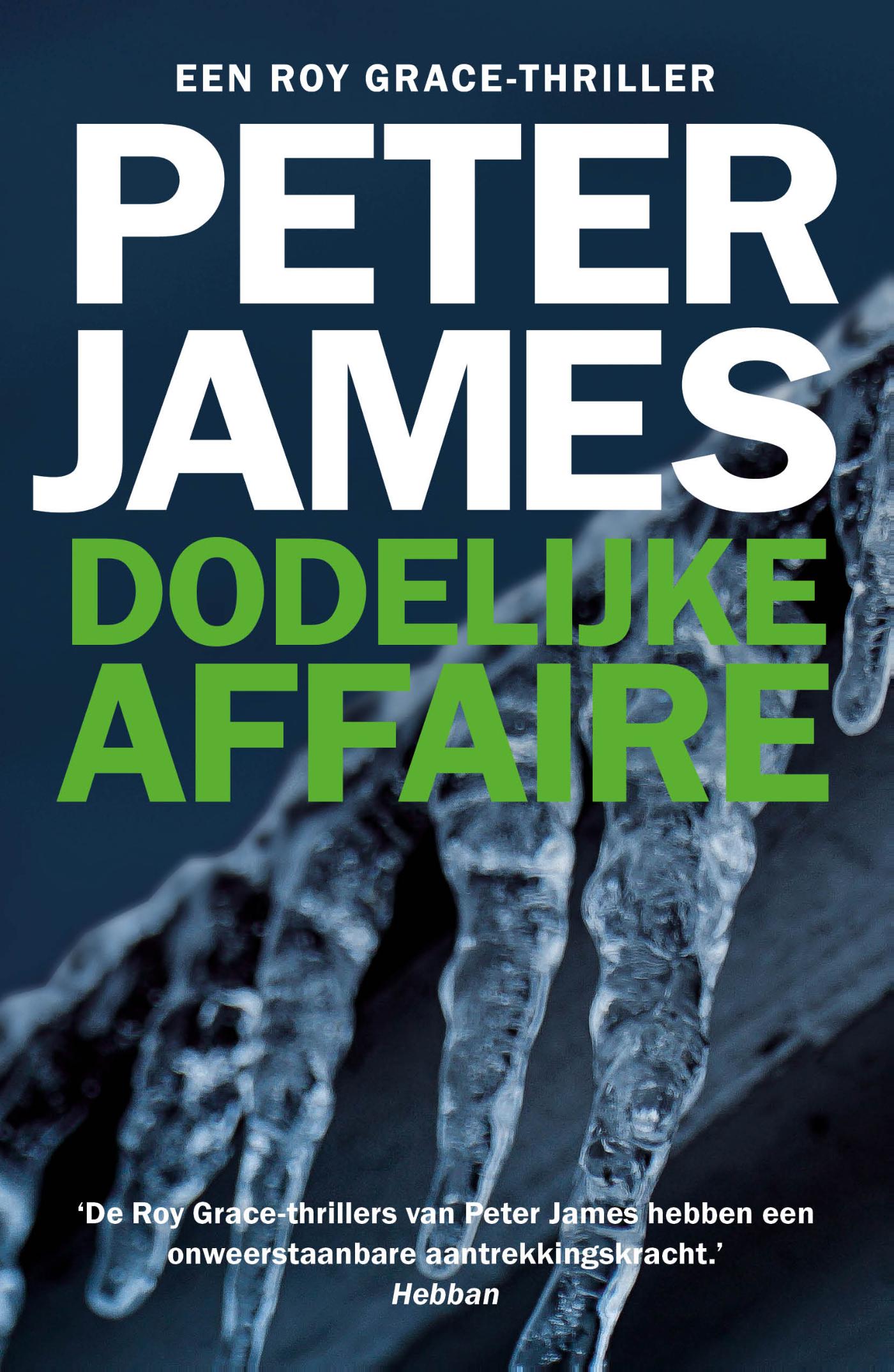 Dodelijke affaire / Roy Grace / 12