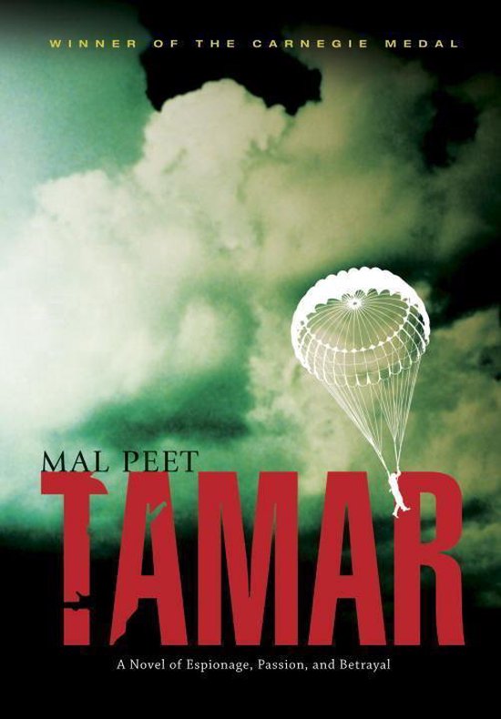 boekenbalie_9780763640637_cover Tamar