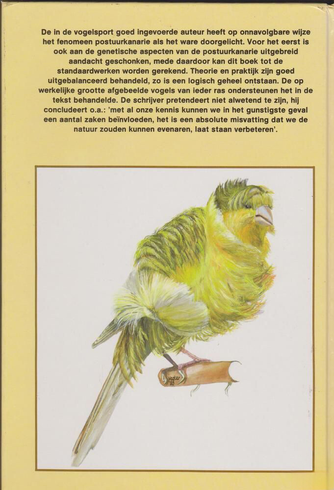 Pietpraat over postuurkanaries achterkant