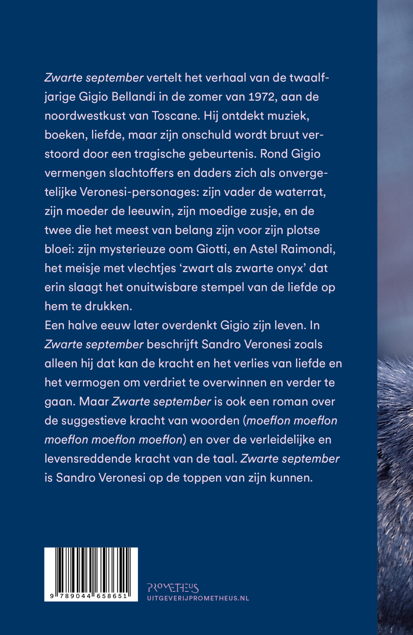 Zwarte september achterkant