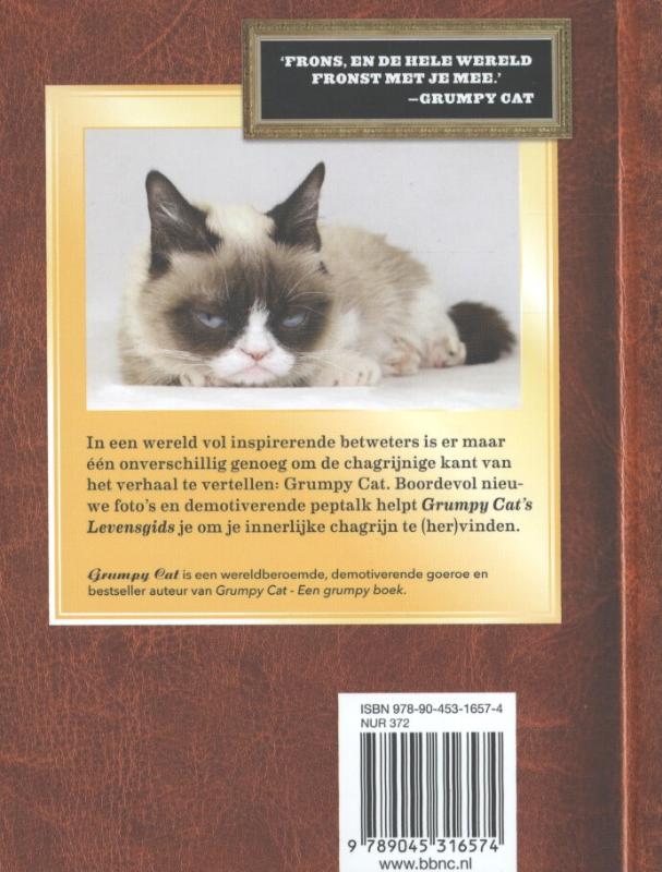 Grumpy cat's levensgids achterkant