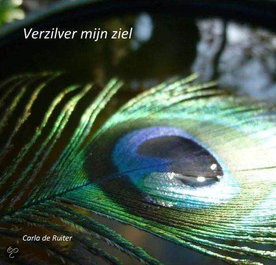 boekenbalie_9789082185201_cover Verzilver mijn ziel