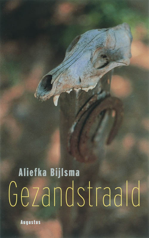 Aliefka Bijlsma Gezandstraald thumbnail