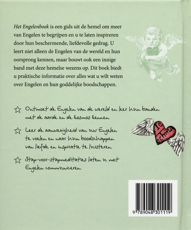 Het Engelendagboek achterkant