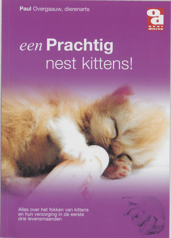 boekenbalie_9789058210326_cover Een prachtig nest kittens! / Over Dieren / 0028