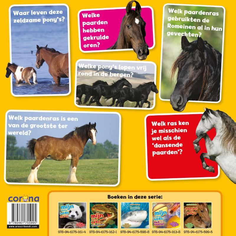 Paarden en pony's / Mijn Kleine Boek Over Paarden en pony's / Mijn Kleine Boek Over achterkant