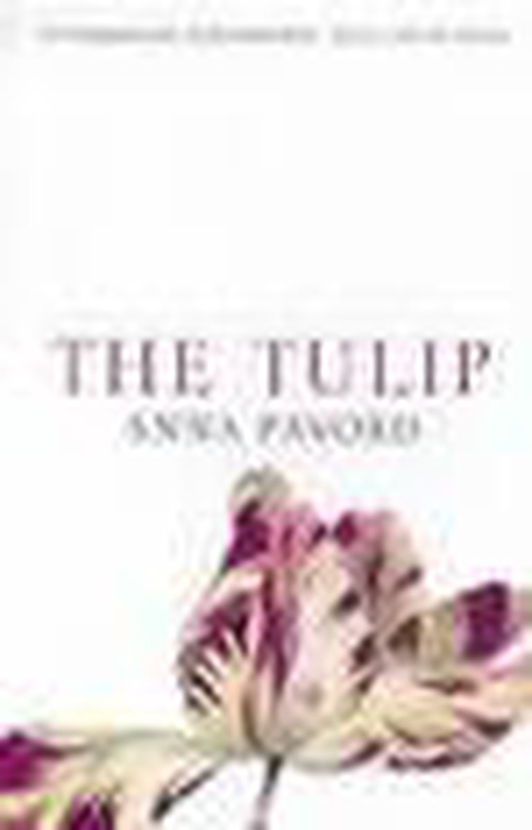 Tulip