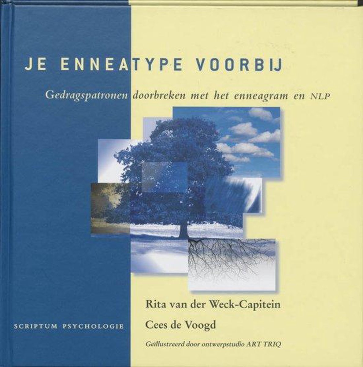 boekenbalie_9789081827102_cover Je Enneatype voorbij