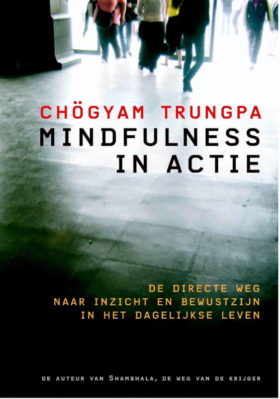 Mindfulness in actie