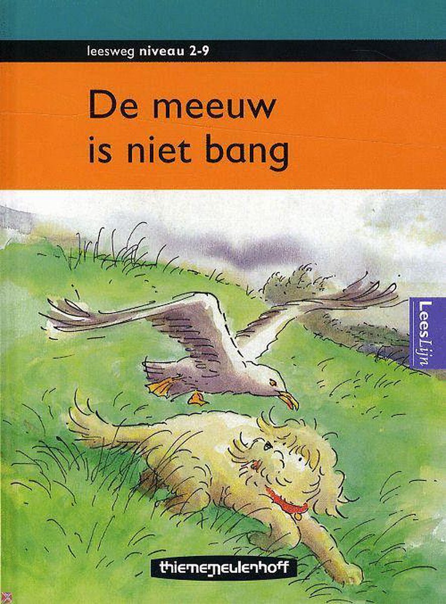 De meeuw is niet bang