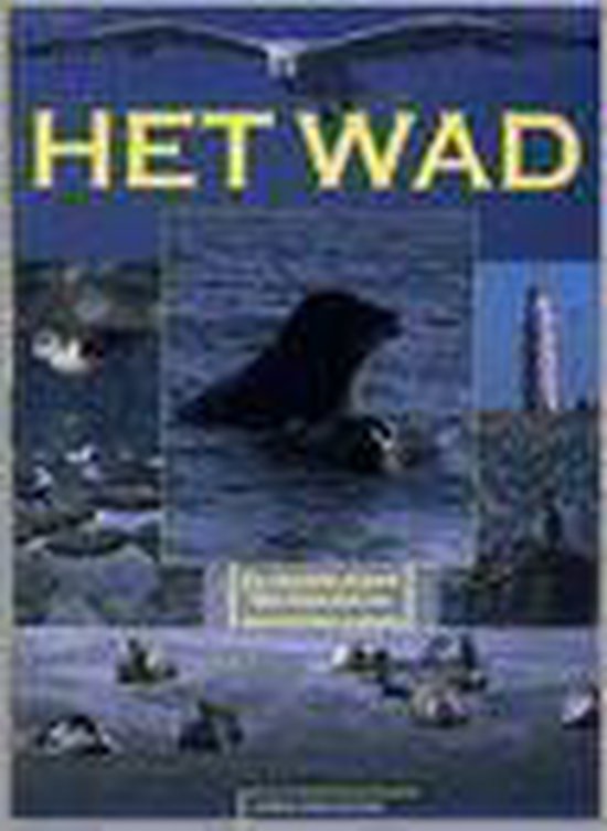 Wad