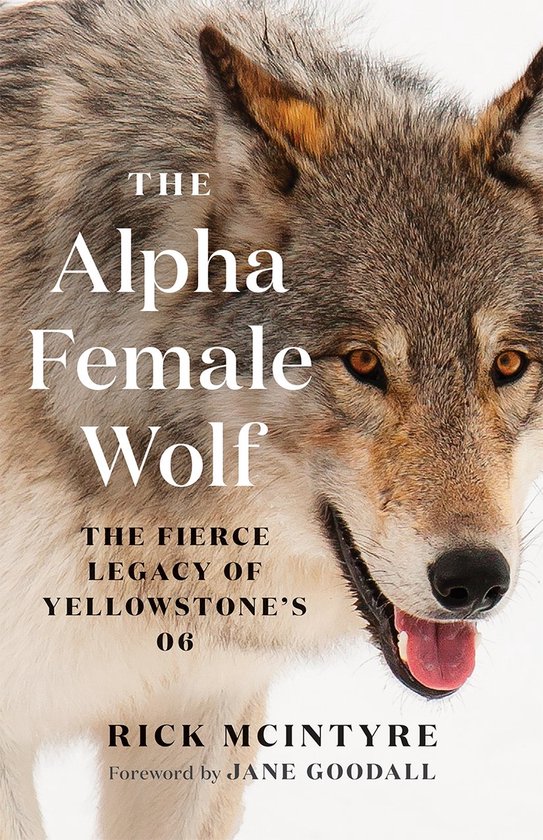 The Alpha Wolves of Yellowstone Series-The Alpha Female Wolf