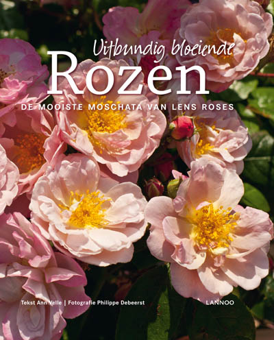 Ann Velle Uitbundig Bloeiende Rozen