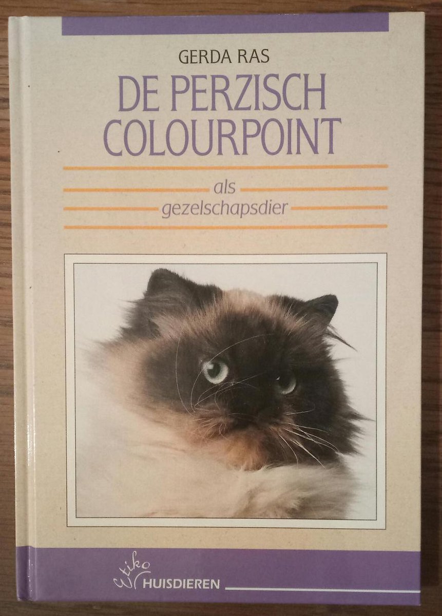 Perzisch colourpoint als gezelschapsdier, De