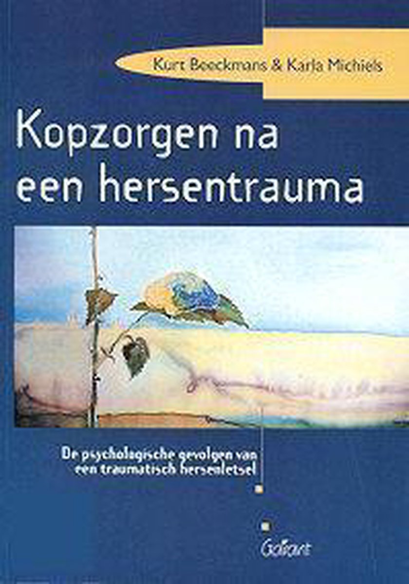 Kopzorgen Na Een Hersentrauma