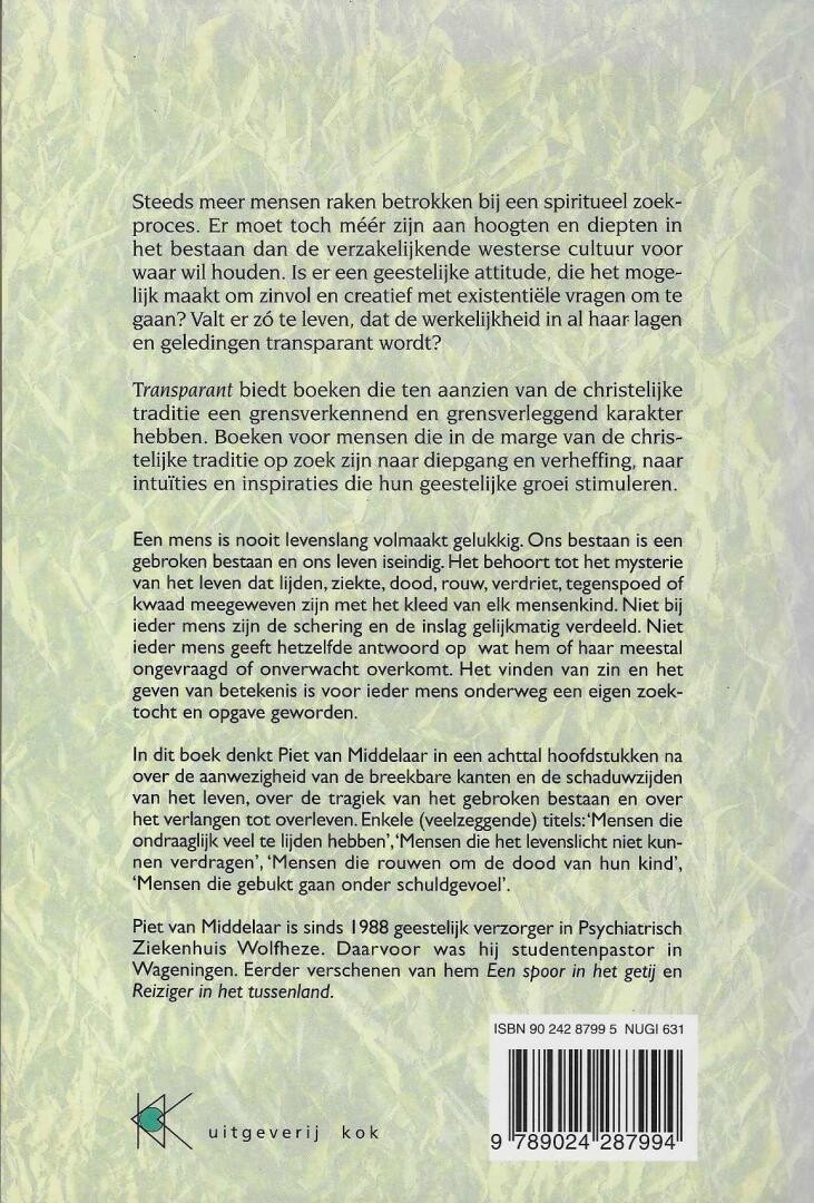Weerspiegelingen van een gebroken hemel achterkant