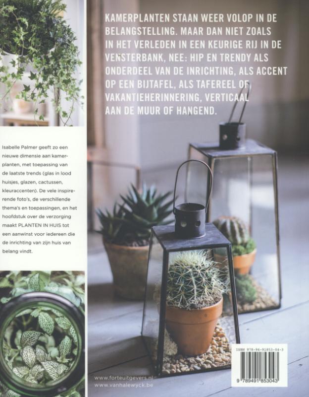 Planten in huis achterkant