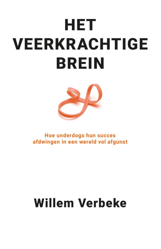 Het veerkrachtige brein