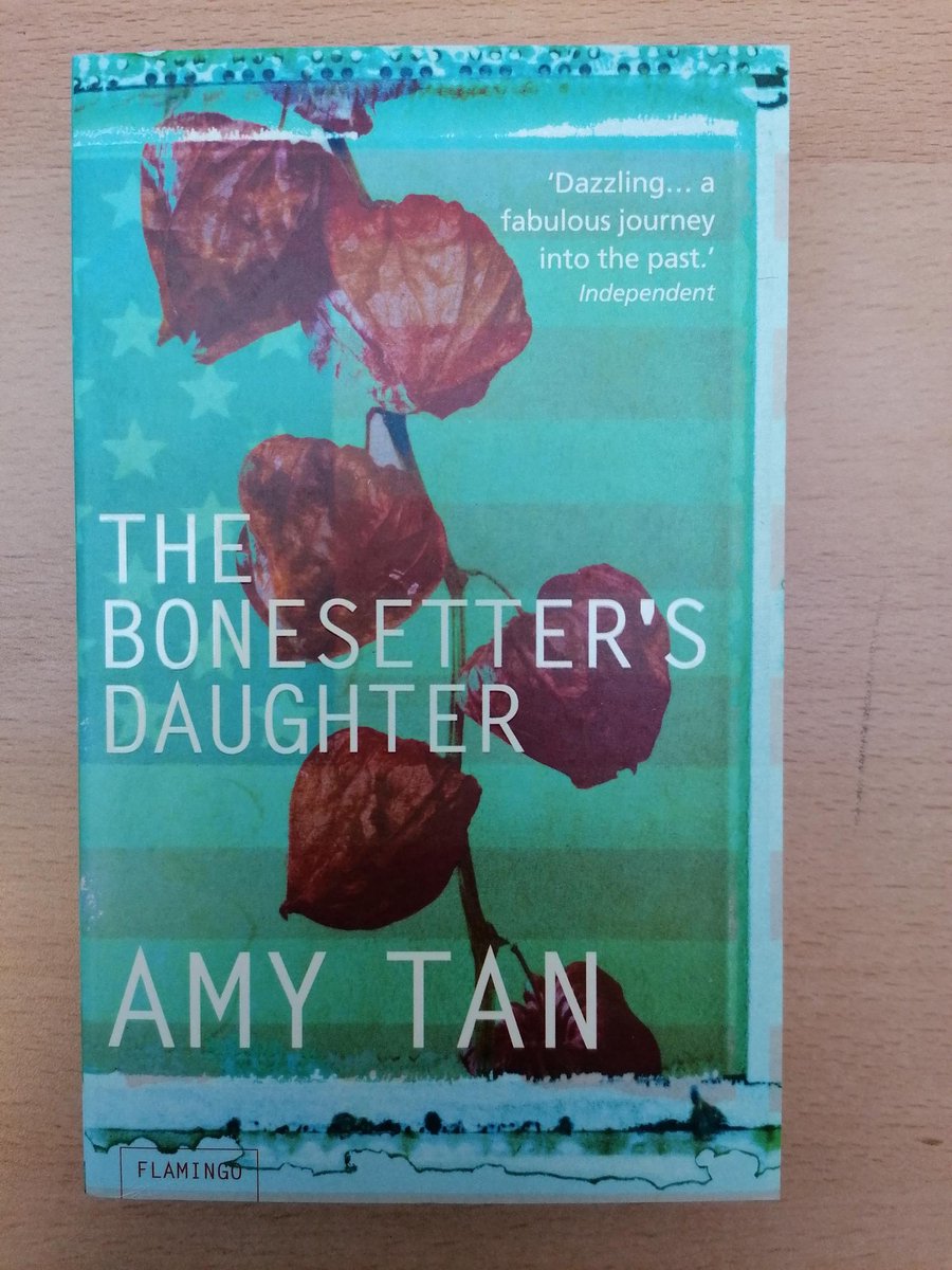 The Bonesetter's Daughter