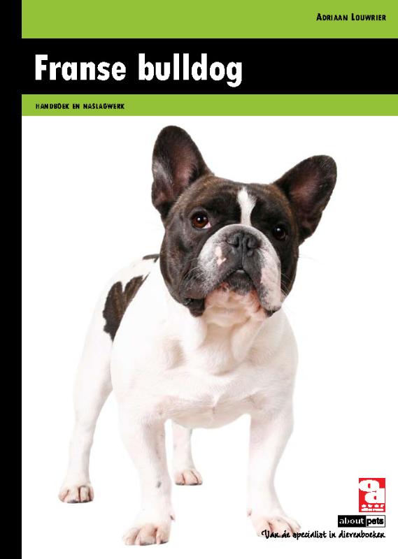 Adriaan Louwrier Franse Bulldog thumbnail
