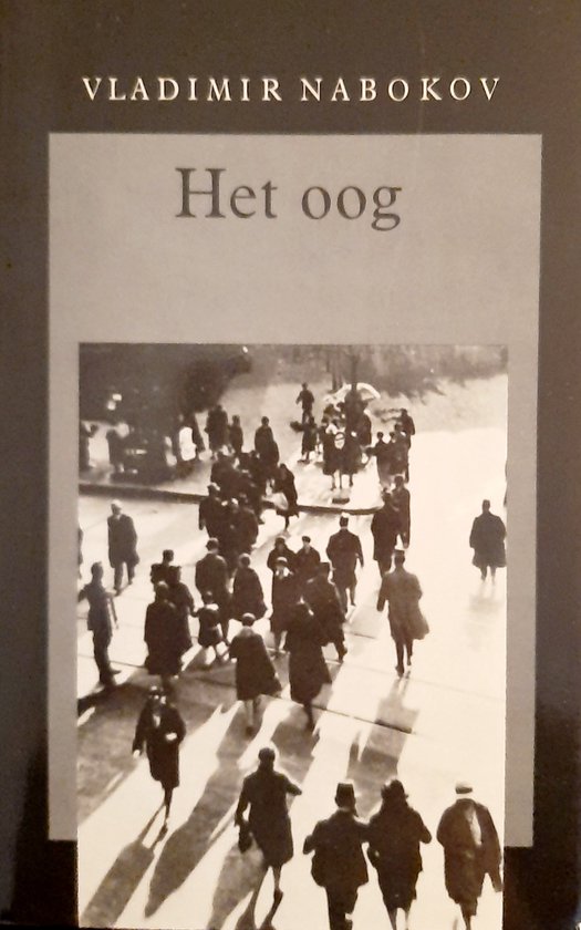 Het oog