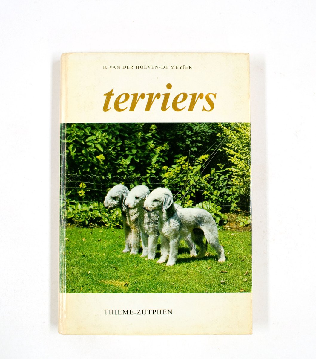 Terriers