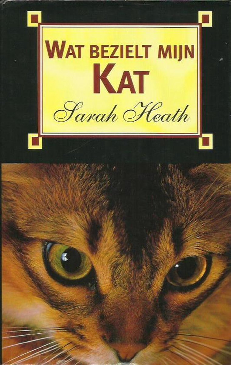 boekenbalie_9789055011605_cover WAT BEZIELT MIJN KAT