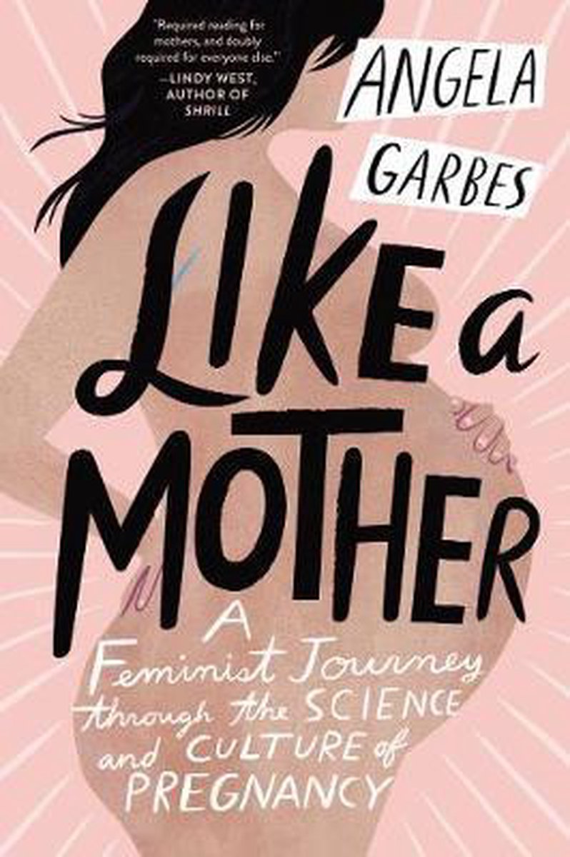Angela Garbes Like A Mother A Feminist Journey Through The Science And Culture Of Pregnancy