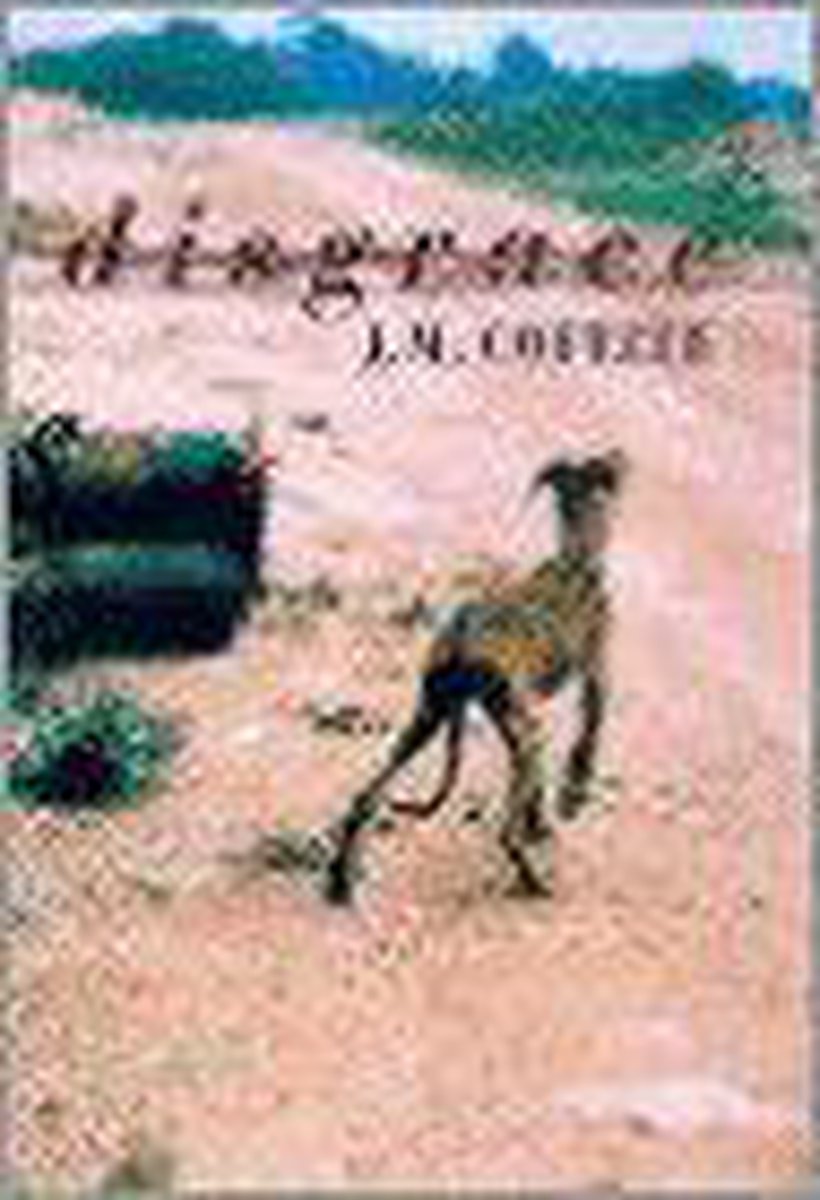 J. M. Coetzee Disgrace thumbnail