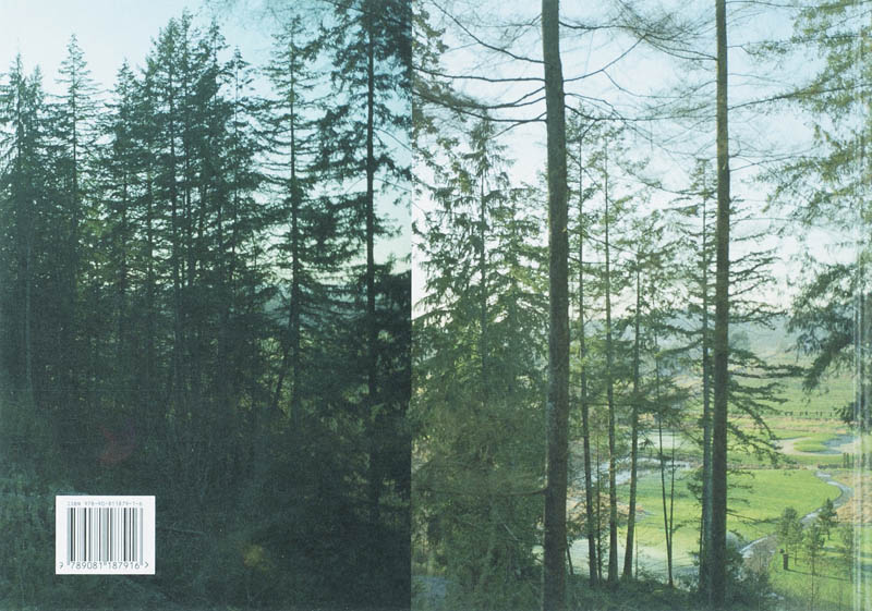 Laag land-hoge heuvels achterkant