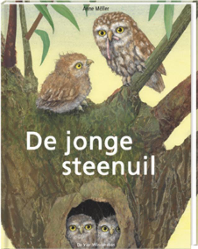 De jonge steenuil