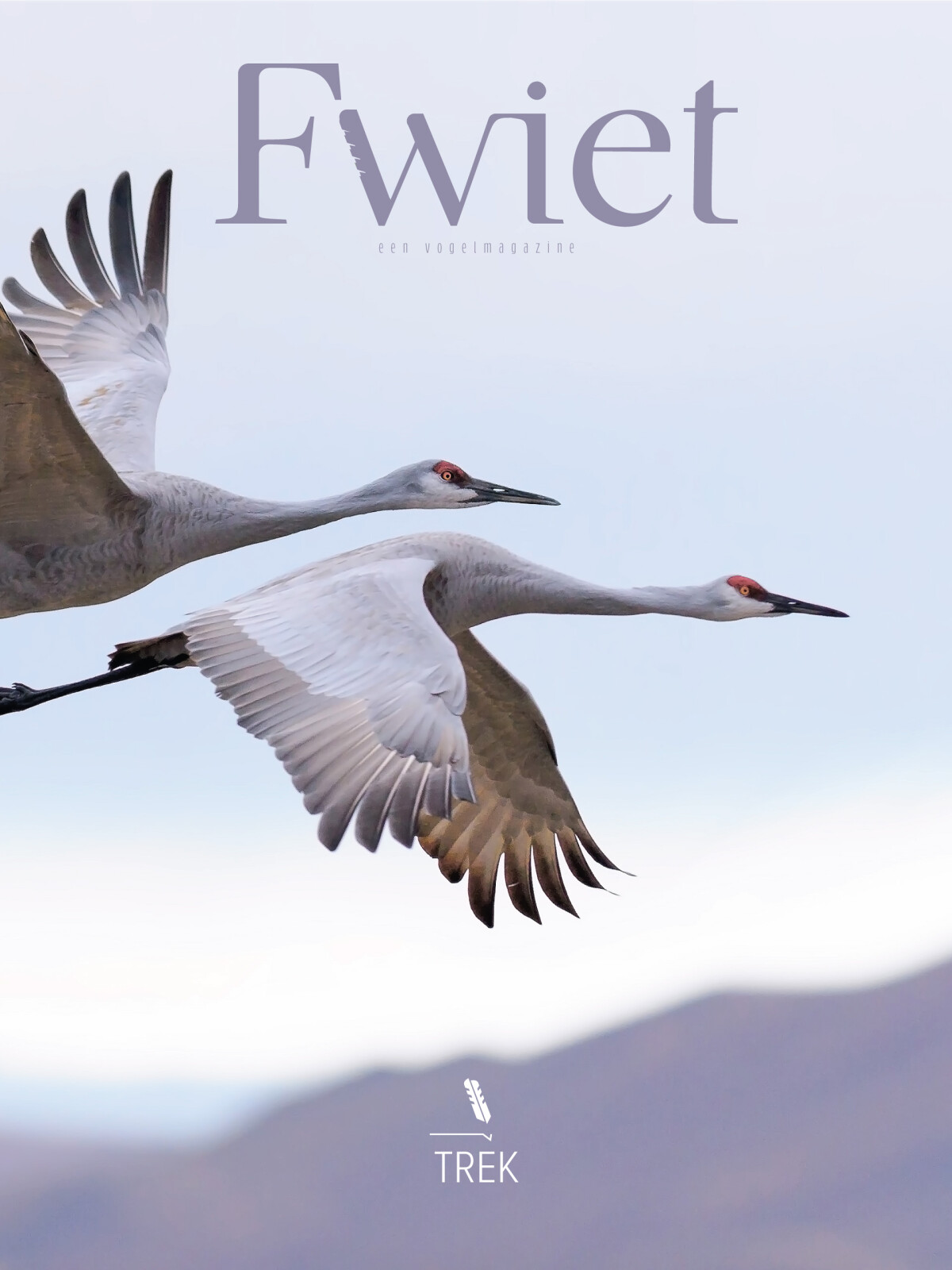 Fwiet - een vogelmazine / Fwiet / 2