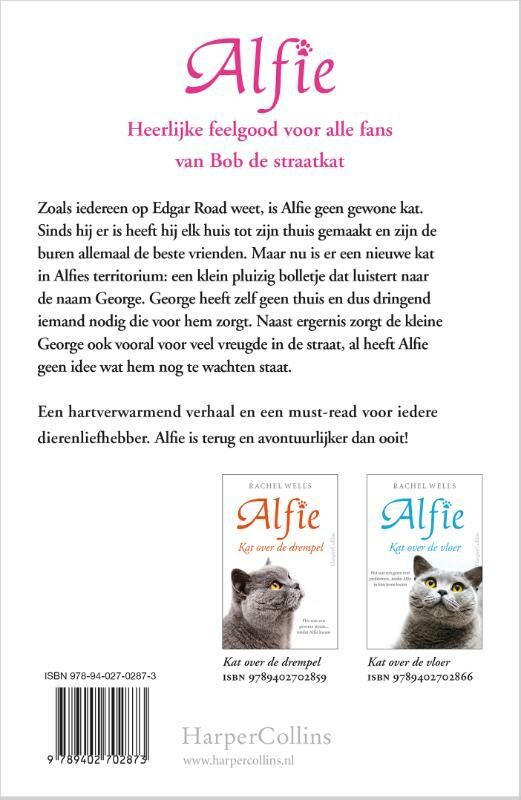Kat voor de deur / Alfie achterkant